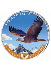 Congo 2021 Bald Eagle - Weisskopfseeadler  - World`s Wildlife Serie Silber  FARBE  1 oz - Kongo