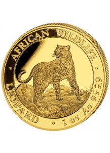 Somalia 2022  Leopard  Gold 1 oz